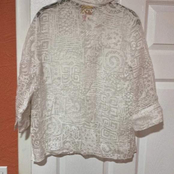 Ruby Road 10 petite white sheer lace/like blouse.  Rayon/nylon - Picture 4 of 5